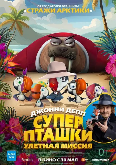 20479 (1)