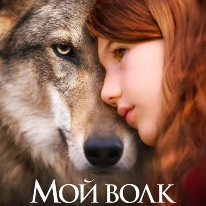 Мой волк 
