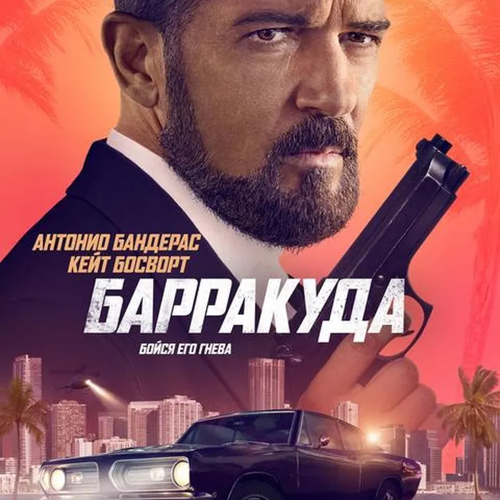 Барракуда