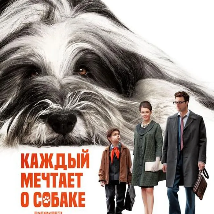 Каждый мечтает о собаке 