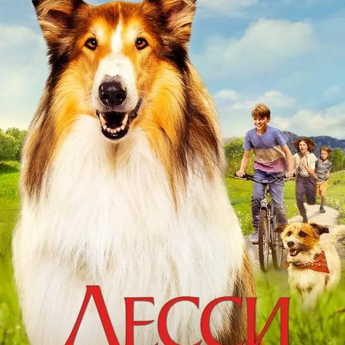 Лесси - лохматый детектив 
